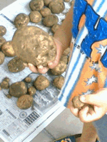 b0080033_0151131.gif