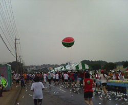 d0107938_13103921.jpg
