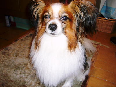 e0100046_21374130.jpg