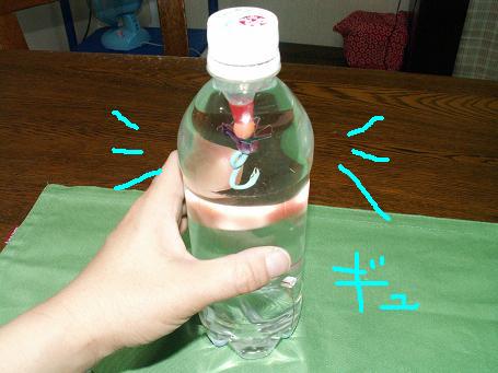 c0118949_04833100.jpg