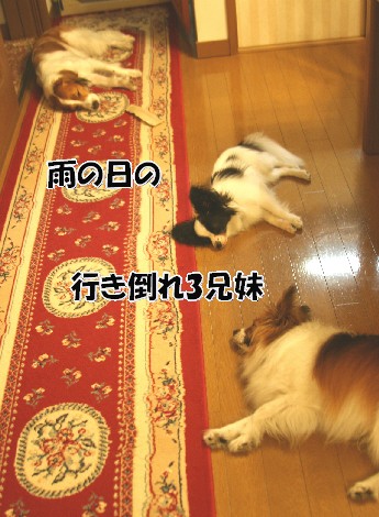 d0013149_1393441.jpg