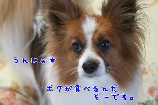 d0013149_1563531.jpg