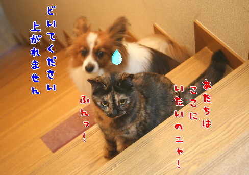 d0013149_22561468.jpg