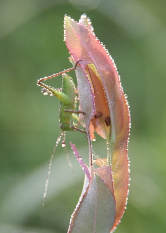 a0009750_1225110.jpg