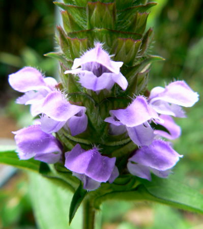 d0091754_0142529.jpg