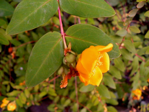 d0091754_20182897.jpg