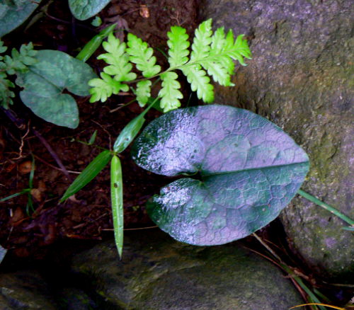 d0091754_20364769.jpg