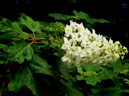 d0091754_23115611.jpg