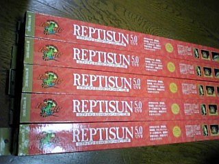 f0009758_1053271.jpg