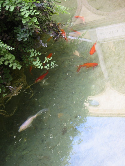 f0077159_1721660.jpg