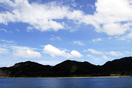 b0062363_20505836.jpg
