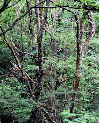 f0107364_2512861.jpg