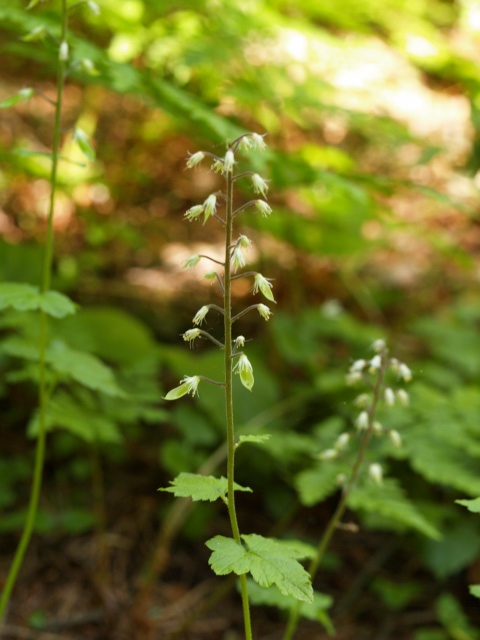 d0025568_825823.jpg