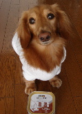 f0089568_20462724.jpg