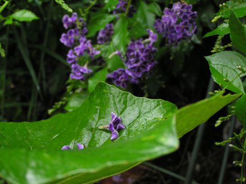 c0042869_21202982.jpg
