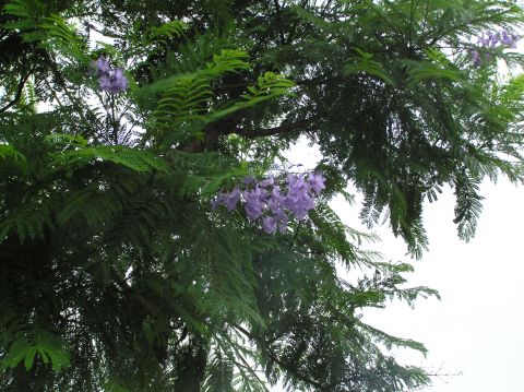c0042869_2120564.jpg