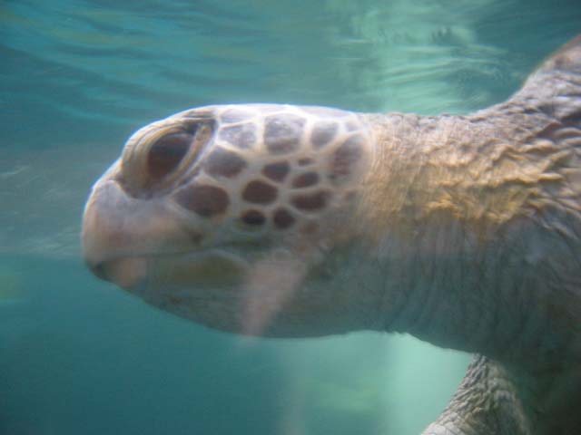 c0117570_16124261.jpg
