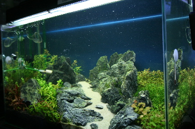 d0090170_201404.jpg