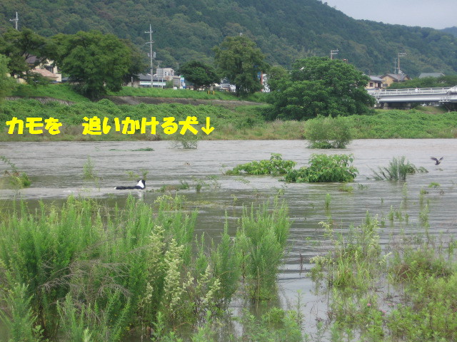 e0117976_2234271.jpg