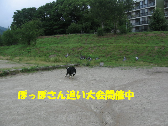 e0117976_22385242.jpg