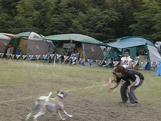 e0009377_11121852.jpg