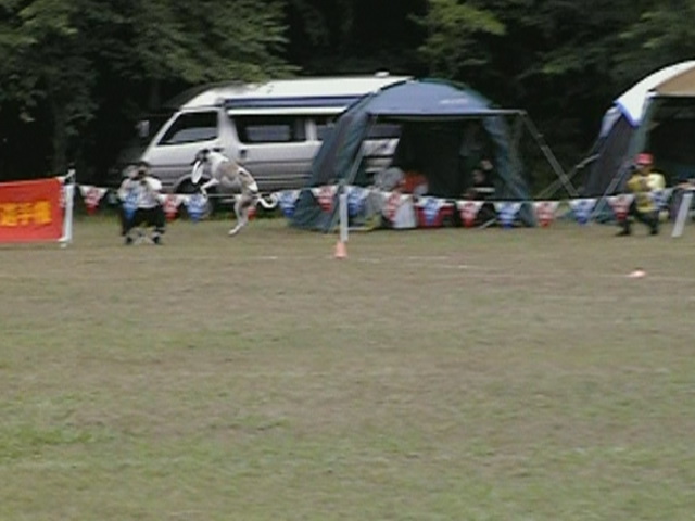 e0009377_11132625.jpg