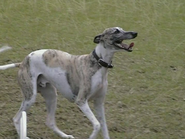 e0009377_1114111.jpg