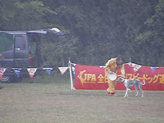 e0009377_11191737.jpg