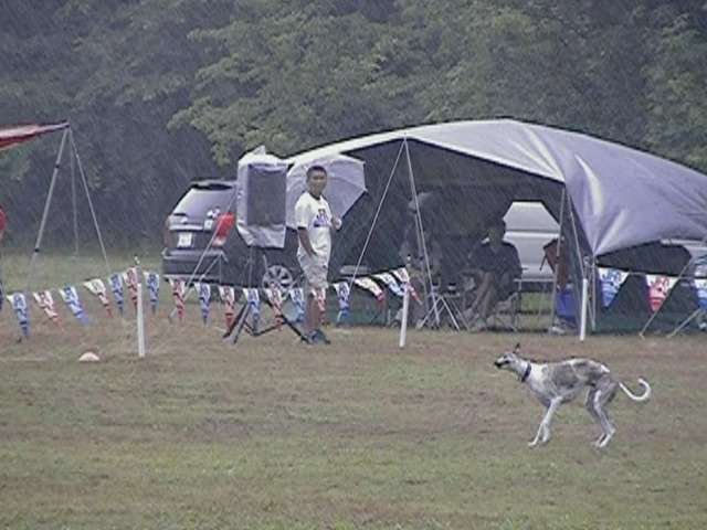 e0009377_11204833.jpg