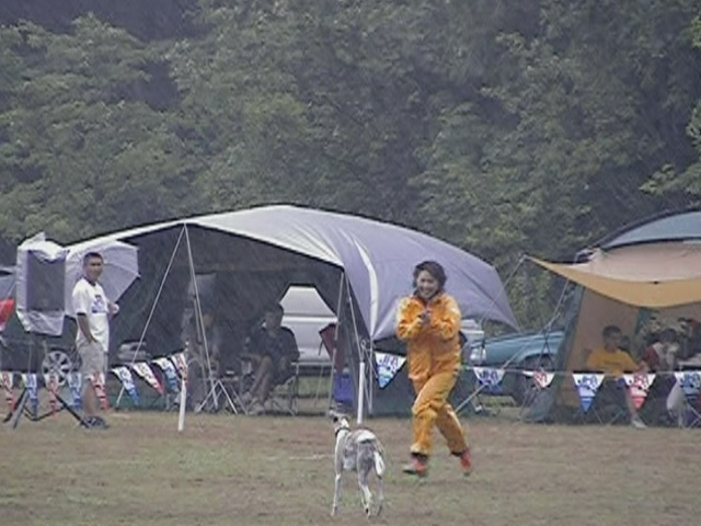 e0009377_11222854.jpg