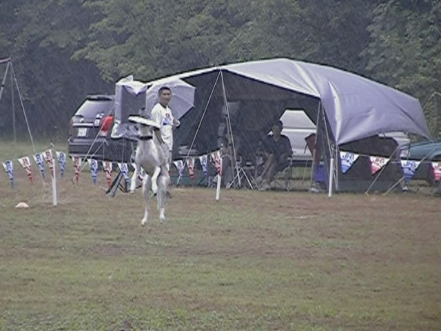 e0009377_11231051.jpg