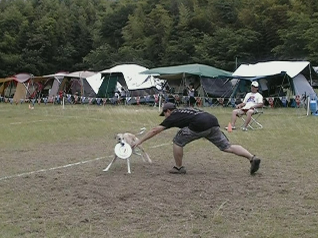 e0009377_11263446.jpg