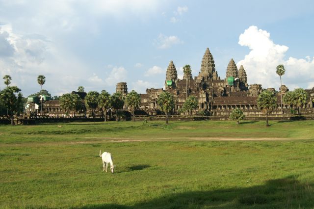 c0077379_1855243.jpg