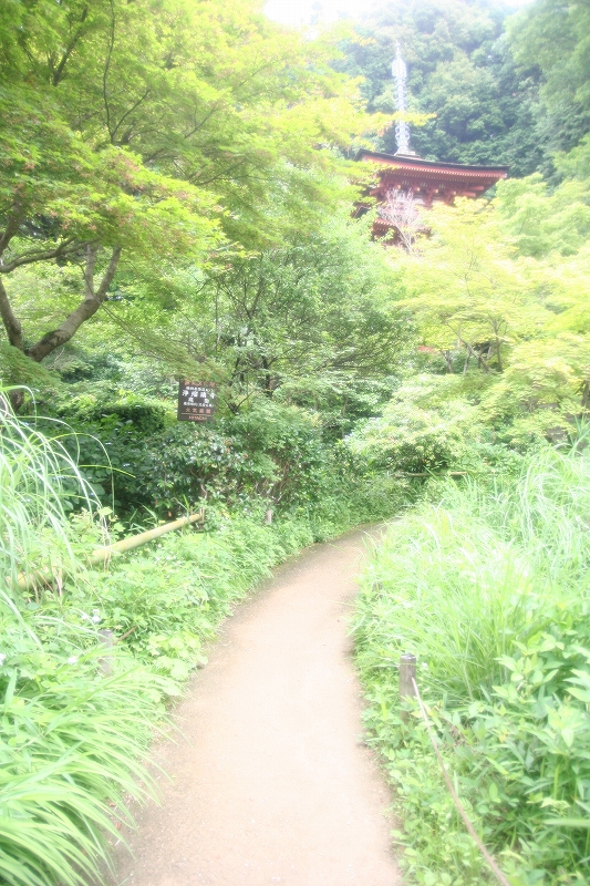 e0024081_21475887.jpg
