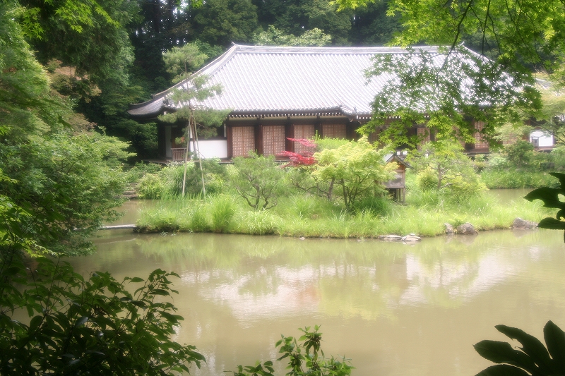 e0024081_21495012.jpg