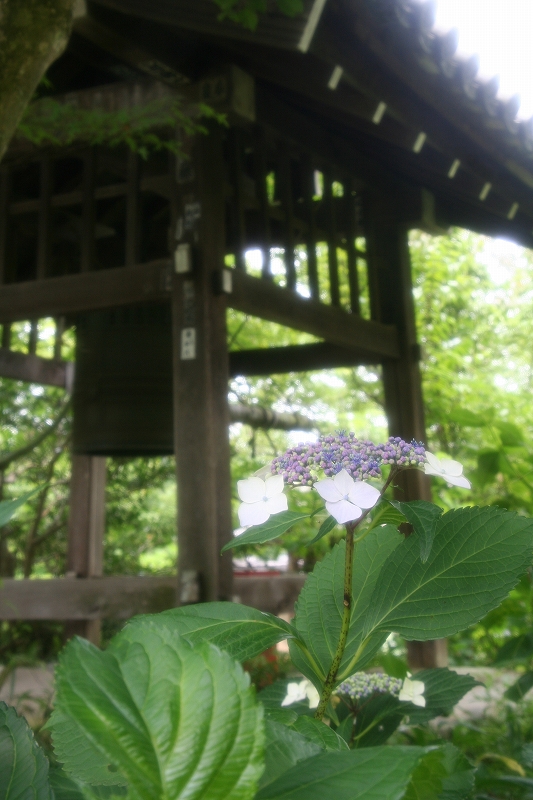 e0024081_21504016.jpg