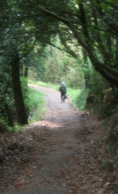e0024081_22403955.jpg
