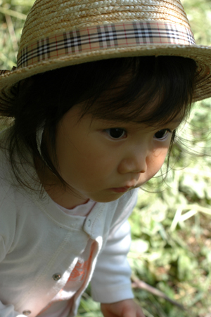 b0061588_17581253.jpg