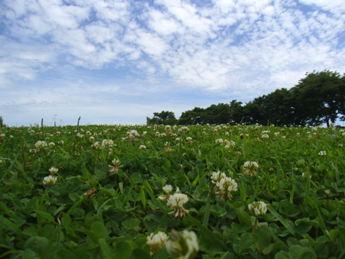 b0080789_040546.jpg