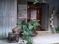 c0068090_14222174.jpg