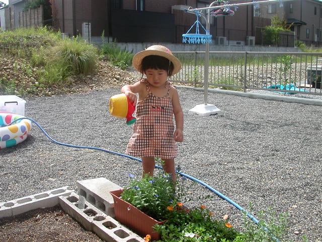d0091193_157697.jpg