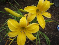 f0130894_2126431.jpg