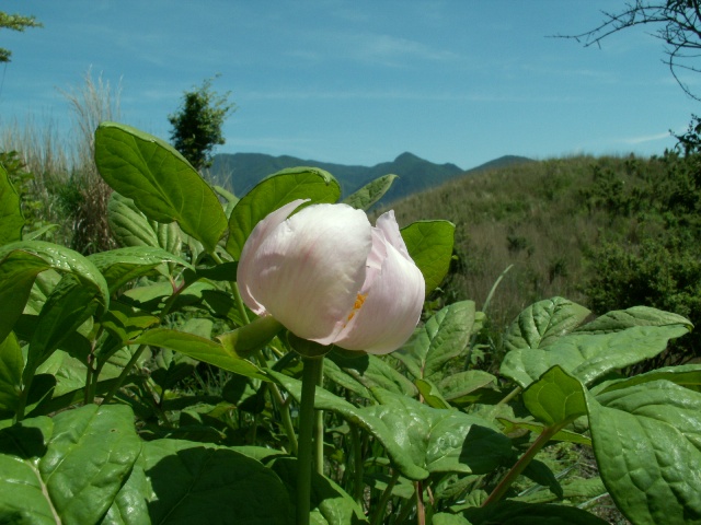 b0039898_12351020.jpg