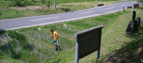 d0069498_10431497.jpg