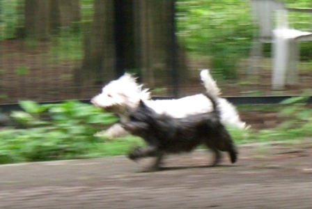 e0078510_17261412.jpg