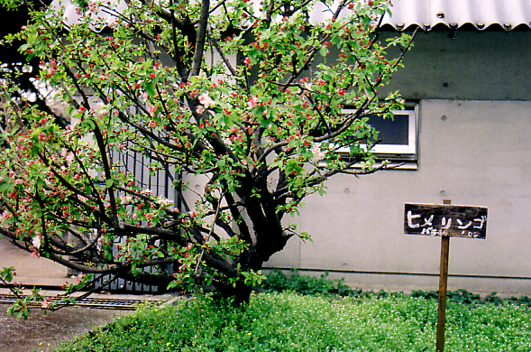 f0121111_22313297.jpg