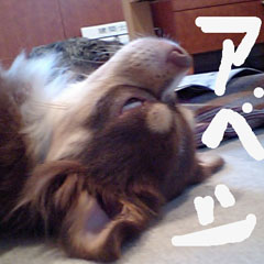 c0036617_2047697.jpg