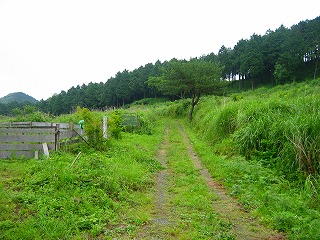 e0103719_11205034.jpg