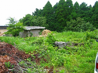 e0103719_11211911.jpg