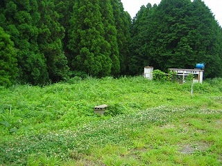 e0103719_1121392.jpg